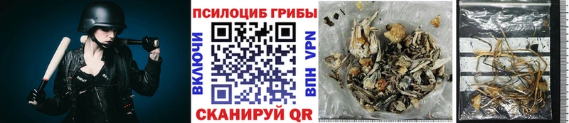 Галлюциногенные грибы MAGIC MUSHROOMS  Лысково 